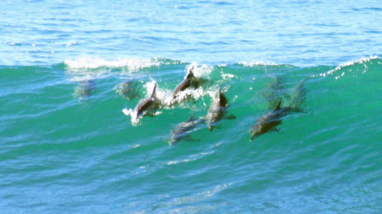 Mollymook Beach Waterfront Buitenkant foto